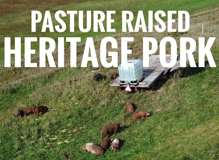 Pork Sausages - Hot Italian.