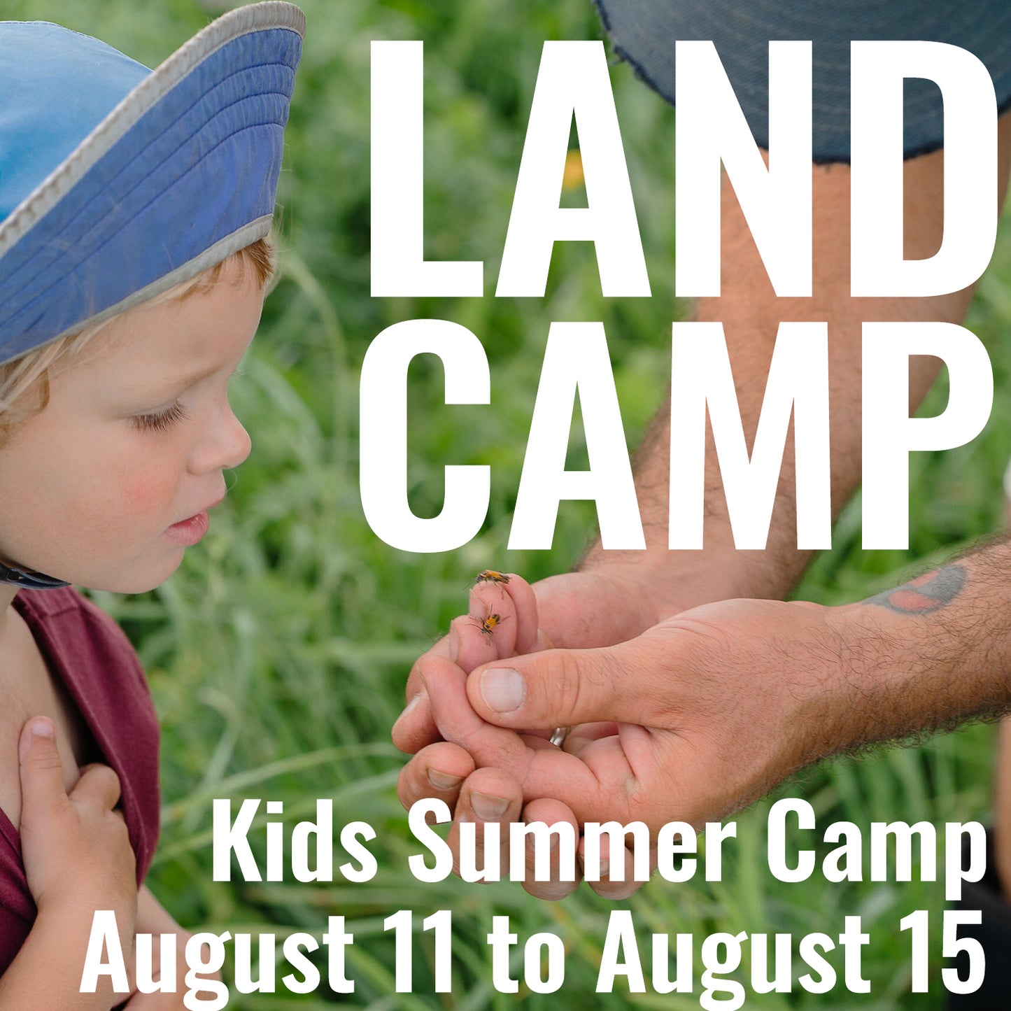 LAND CAMP - Kids Camp Week 7 - August 11th to August 15th