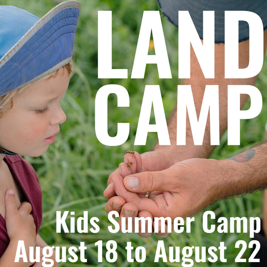 LAND CAMP - Kids Camp Week 8 - August 18th to August 22nd